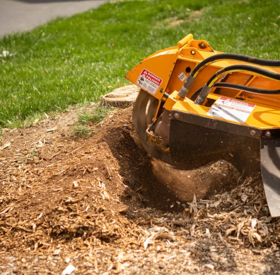 Stump grinding