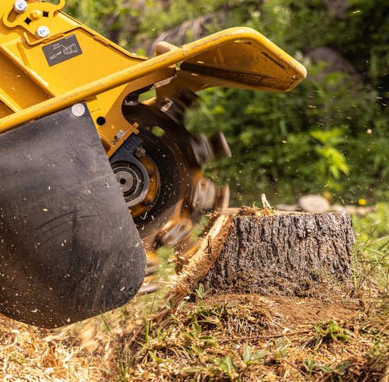 Stump,Grinder,Machine,Is,Grinding,A,Tree,Stump,In,A Stump grinder machine is grinding a tree stump in a garden, creating wood chips. Selective focus